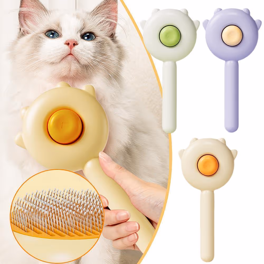 Recommand collection - our top picks for your daily needs